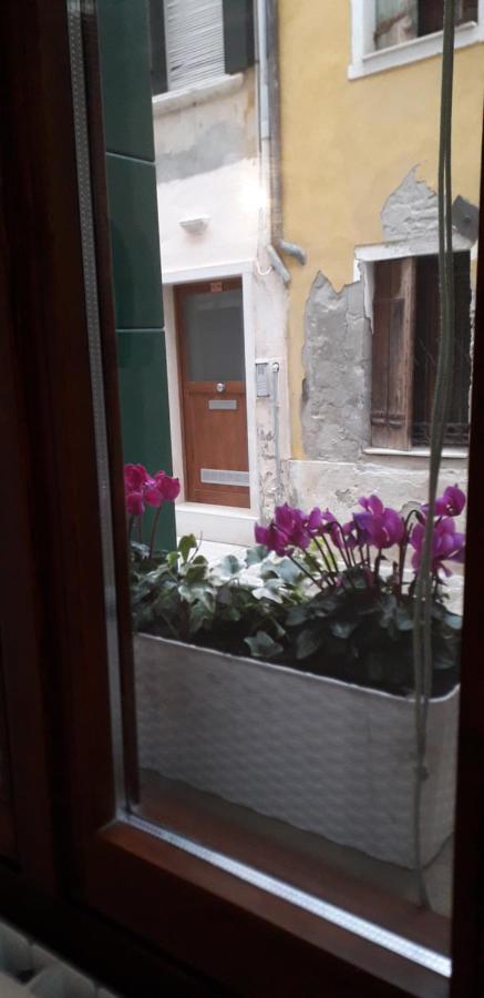 Design House Biennale Venecia